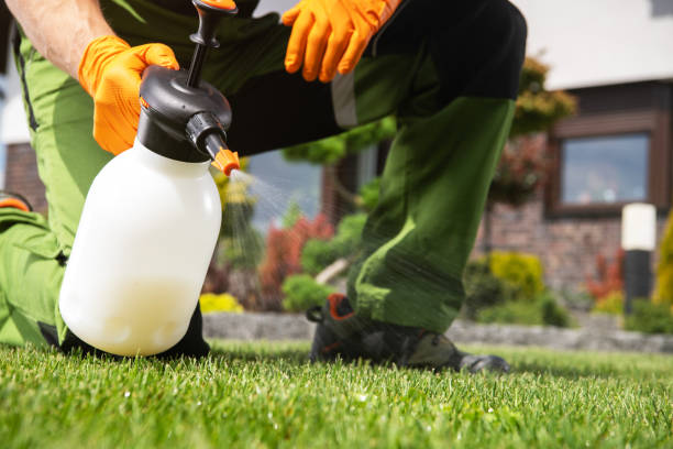 Best Cockroach Control Services  in Waggaman, LA
