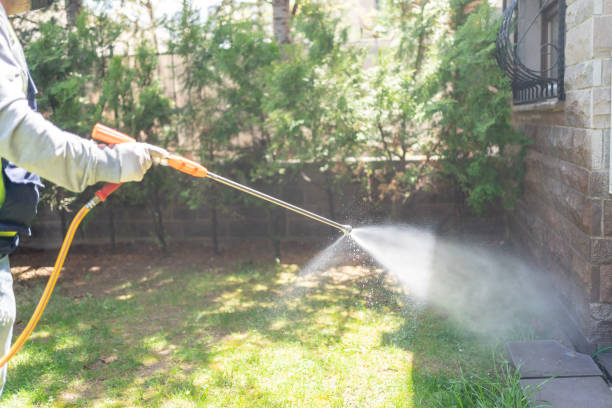 Professional Pest Control in Waggaman, LA