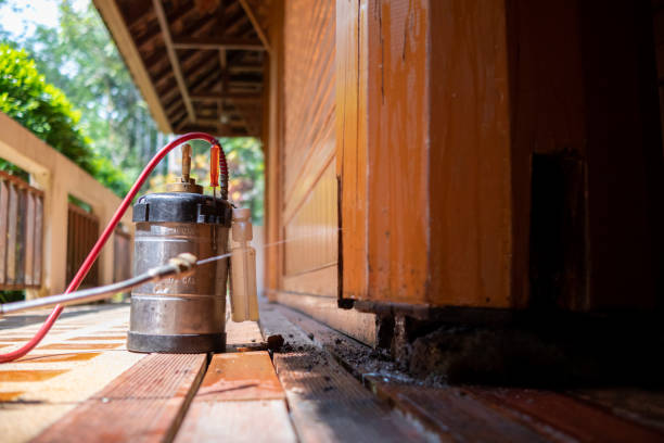 Best Bed Bug Extermination  in Waggaman, LA
