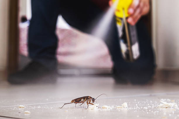 Best Affordable Pest Control Services  in Waggaman, LA